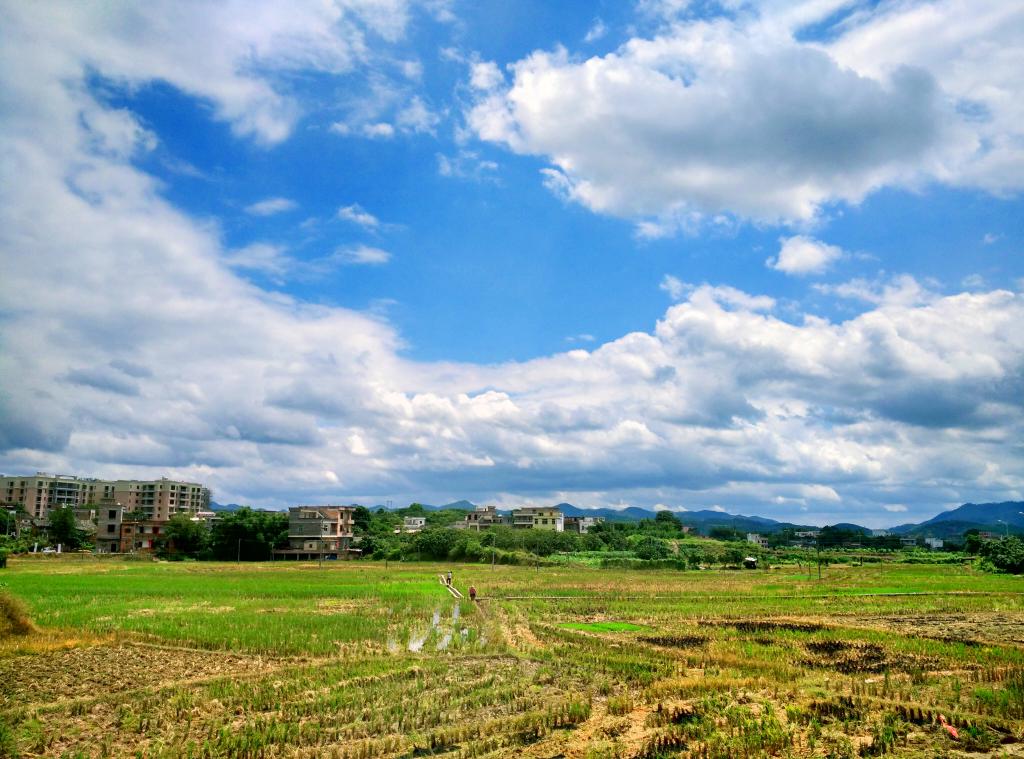 14:00 午后 蓝天白云绿草 而你正好有空
